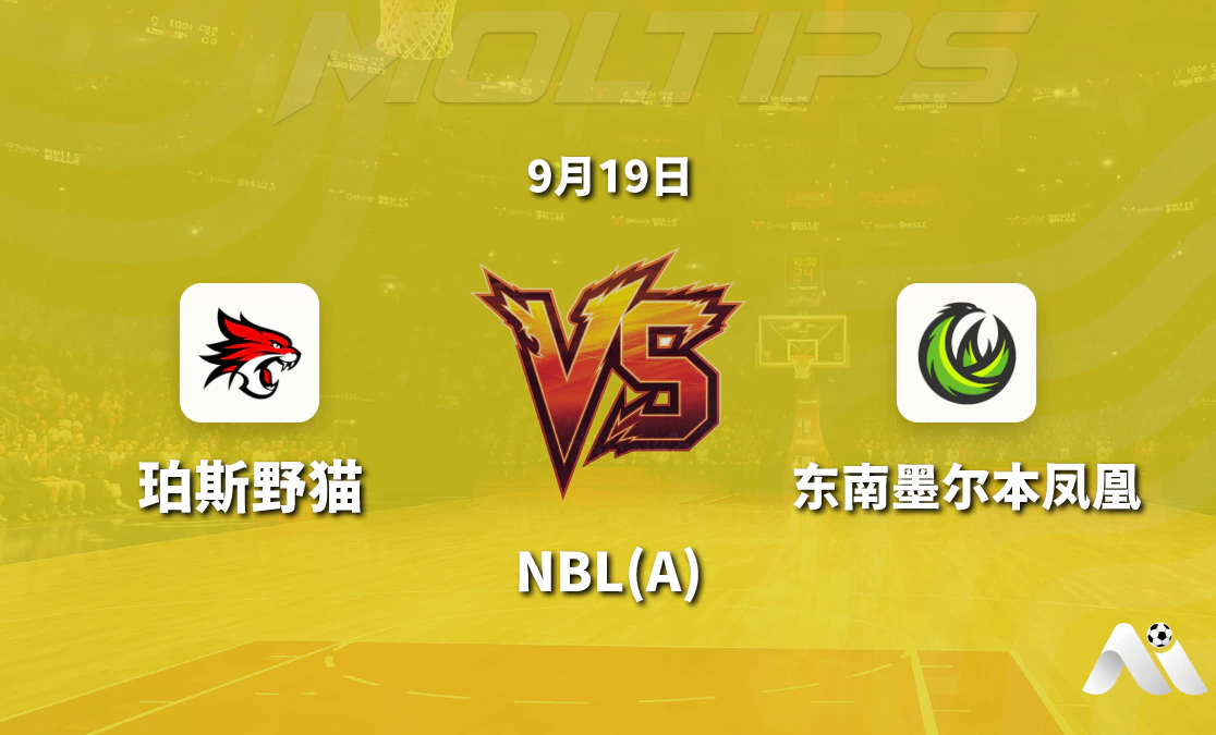 珀斯野猫对阵东南墨尔本凤凰 NBL 赛前分析:主场让分与大小分走势解读封面图