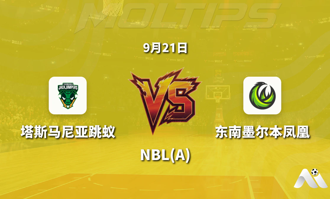 塔斯马尼亚跳蚁对阵东南墨尔本凤凰 NBL赛前深度解析封面图