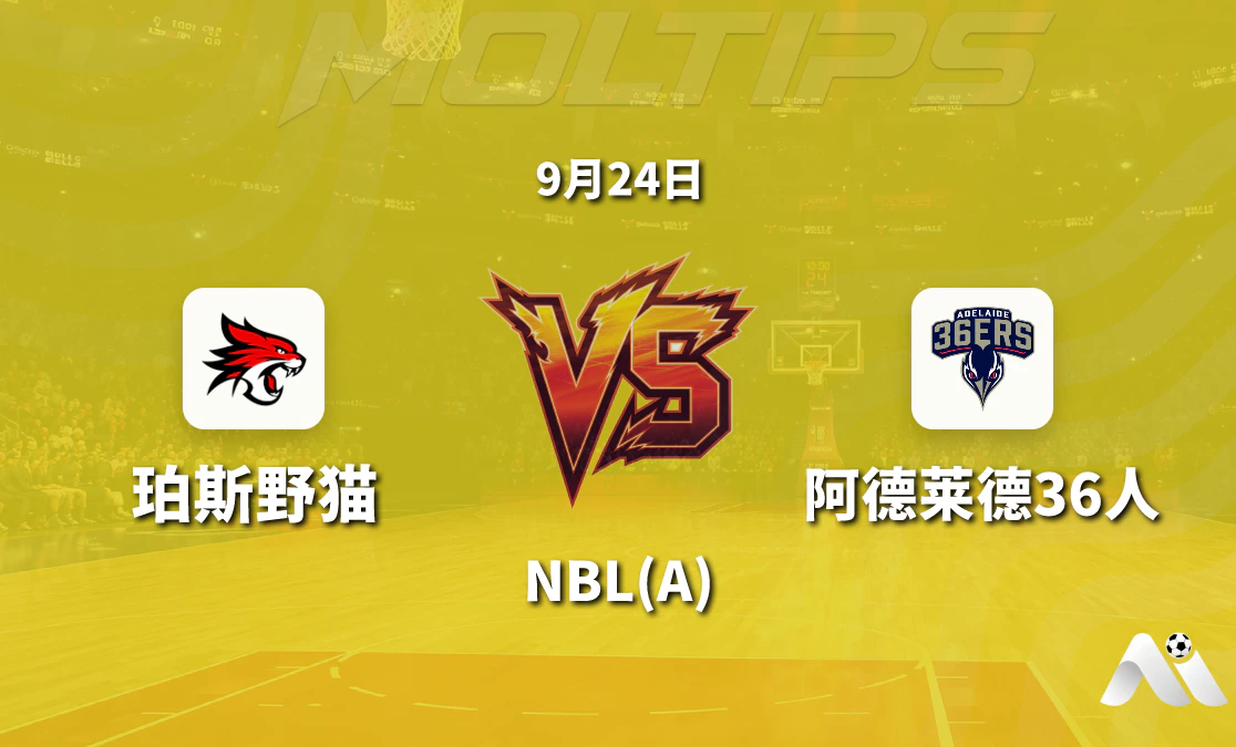 珀斯野猫对阵阿德莱德36人 NBL赛前深度解读封面图