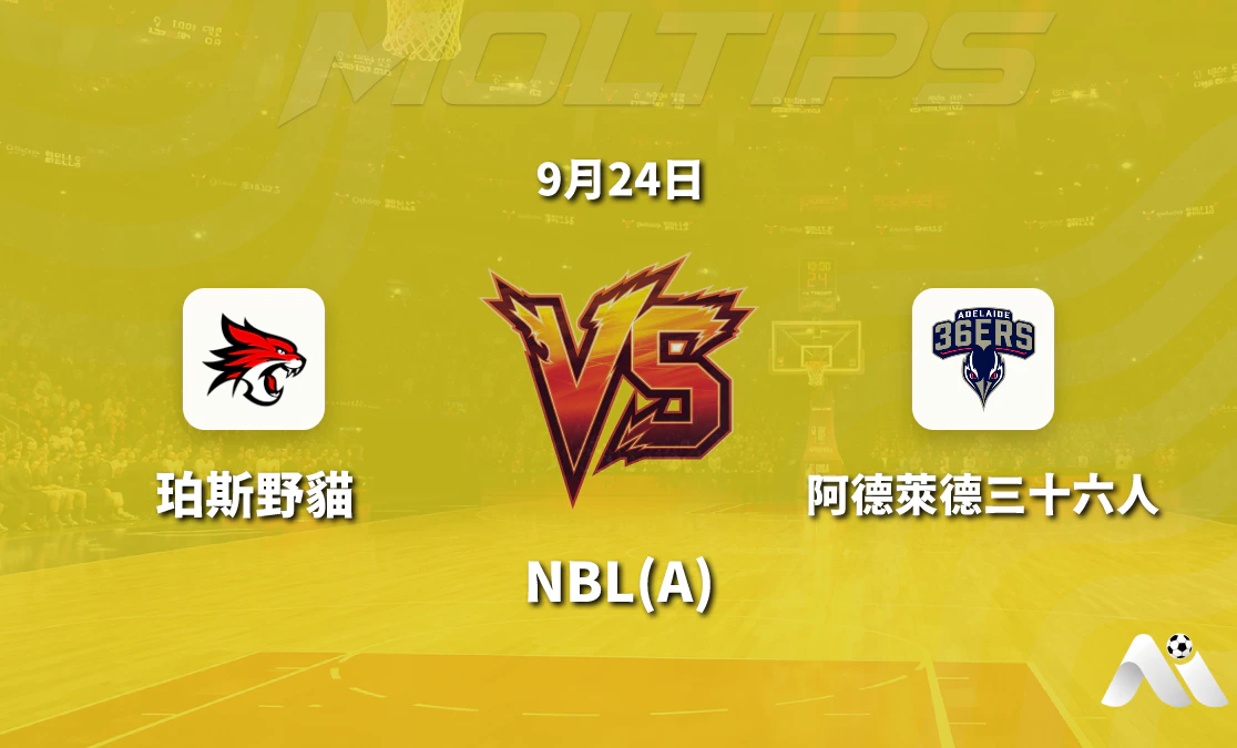 珀斯野貓對陣阿德萊德36人 NBL賽前深度解讀封面圖