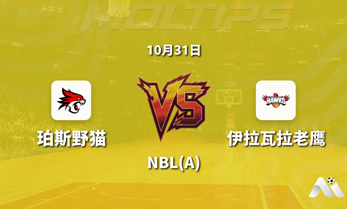 珀斯野猫主场迎战伊拉瓦拉老鹰 NBL 常规赛盘口走势与赛前分析封面图